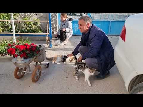 MİSAFİRİMİZ GELDİ ZEHRA KEDİLERİ ÇOK SEVDİ