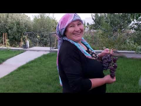 MİS GİBİ ÇİÇEK BAHÇESİ BAHÇE DEDİĞİN BÖYLE OLUR MAŞALLAH