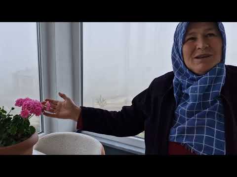KÖYDE YAŞAM ÖĞLE VE AKŞAM MENÜMÜZ BAHÇEMİZDE ISBANAK