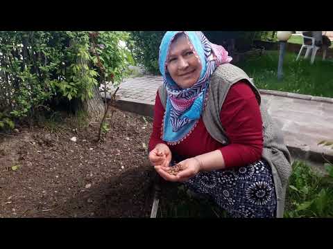 YENİ EVDE YORUCU BİR GÜN