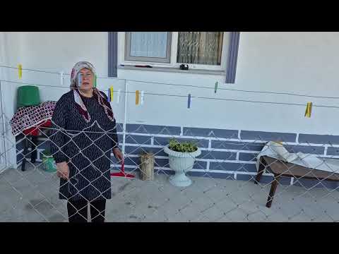 YENİ TAVUK KÜMESİMİZ YÜKSELİYOR RIFKIDA GARİP TUHAF