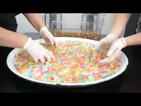 Su Maymunu Hakkında Biraz Bilgi