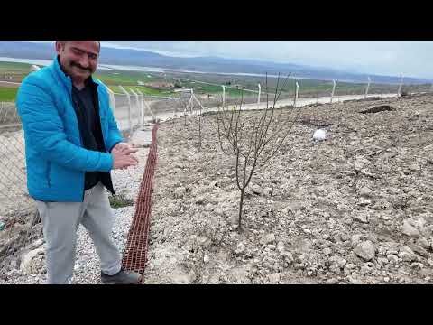 SEYİT USTAYLA HATİCE HANIM BAHÇEYE NELER EKİYOR KOMŞUMUZUN