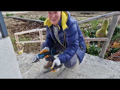 YA SABIR HATİCE HANIM BAKALIM BEĞENECEKMİ YENİ YAPILARIMIZ