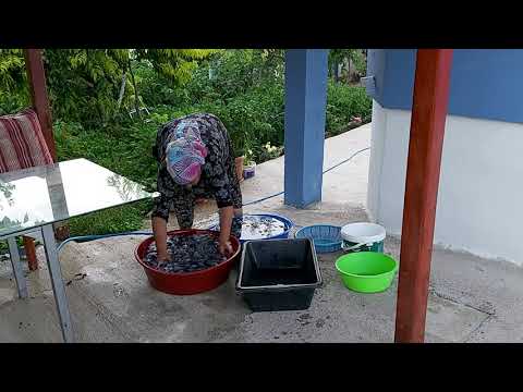 SONUNDA ERİK REÇELİMİ YAPTIM ÇOK GÜZEL OLDU