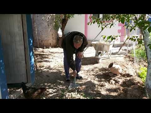 TAVUKLARIN BAHÇESİNİ TEMİZLİYORUZ VE SOLUCAN ZİYAFETİ