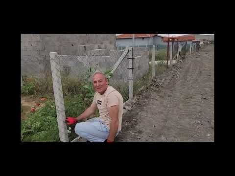 YENİ EVİ ELİFLE GÜLCAN ÇOK BEĞENDİ VE CAN DOSTUMUZ