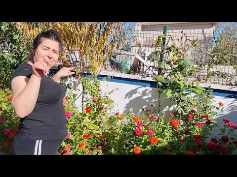 KIZIM GÜLCANLA BAHÇEYİ GEZİYORUZ SİZCE GÜZEL DEĞİLMİ