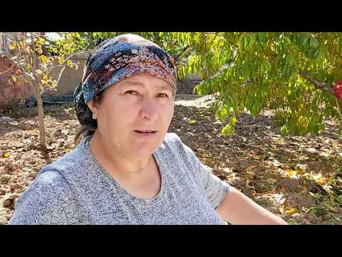 KÖY HAYATI SEVENLER BAHÇEMİZE SOĞAN VE MARUL ROKA DİKİYORUZ