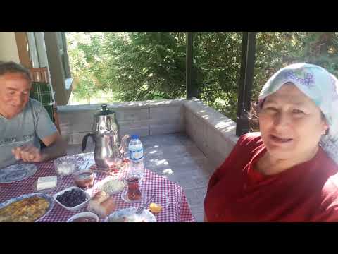 SOSİSLİ OMLET TARİFİ LEZZETLİ YENİ BİR TARİF