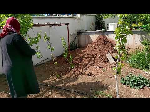 SANKİ BURASI CENNET BAHÇESİ HUZUR LUMU HUZURLU BAHÇE