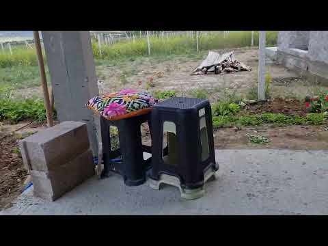 YENİ EVDE TAMİRAT TADİLAT BAHÇE İŞLERİ