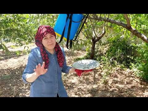 KIZIMA YAŞ TARHANA YAPIYORUM TARHANA TARİFİ