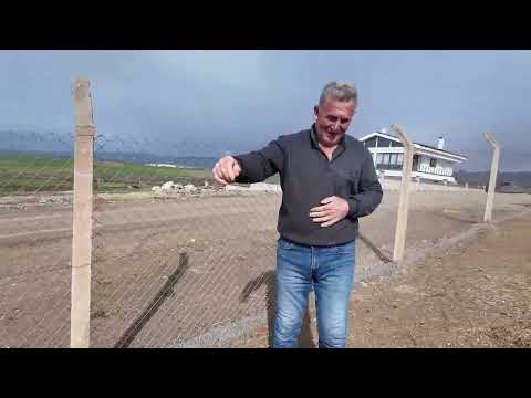KARDEŞLERİMLE GÜZEL VAKİTLER VE SEVİMLİ TAVUKLAR VE