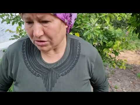 GÜZEL BAHÇEMİZİ GEZELİM BAKALIM NELER OLMUŞ