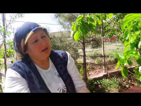 TAVUKLARIN TATLILIĞI BAHÇE GEZİNTİSİ