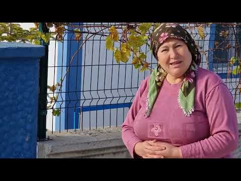 KÖYDE YAŞAM TAVUKLARIMIZ BU GÜN KAÇ YUMURTA VERMİŞ
