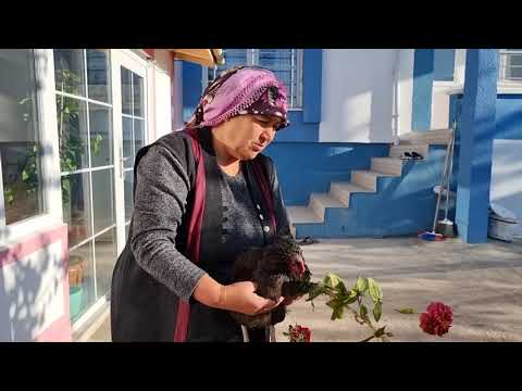 SABAH KAHVALTISI VE BAHÇE ÇİÇEKLER SOĞUKLADI