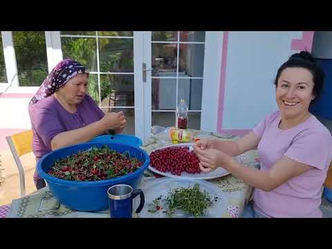 KIŞA HAZIRLIK DOLABA VİŞNE KOYDUK