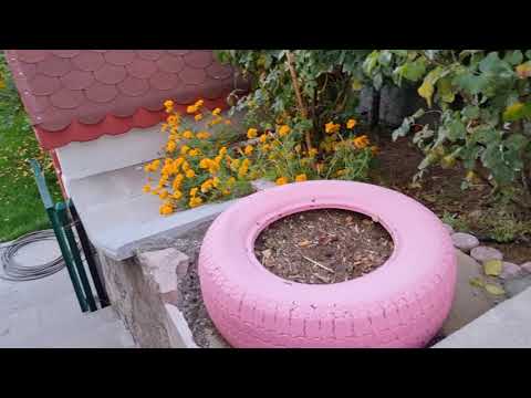 VLOG GEZİYORUZ BAKALIM NELER VAR