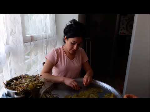 Ablama Kışkırtma Yaptım Yaprağı Yüzüme Vurdu