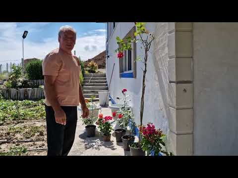 YENİ ALIŞVERİŞİMİZ EVİMİZE VE BAHÇEMİZE NELER ALDIK HATİCE