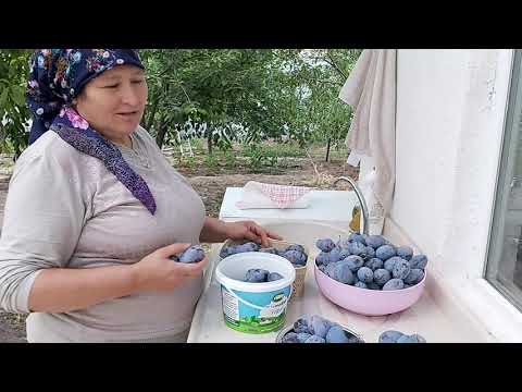 ERİK HASADI YAPTIK NEFİS Mİ NEFİS ERİK REÇELİ YAPTIM