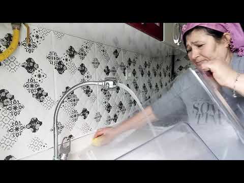 Buzdolabını Baştan Aşağı Silerken KO GELDİ VLOG