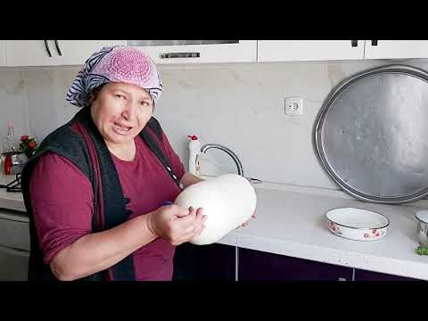 BİDONDA TEREYAĞ YAPMAK İÇİN KAÇ SAAT UĞRAŞTIM KEDİLERİMİZİN
