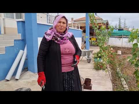 BABAM BİZİ BİLE BÖYLE SEVMEDİN ANNEM GÜLERİ BUDADI