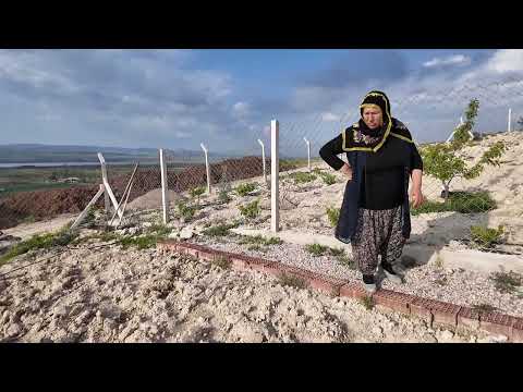 BAHÇE TURUMUZ GÜZEL GELİMELER EKTİĞİMİZ TOHUMLAR BTİYOR