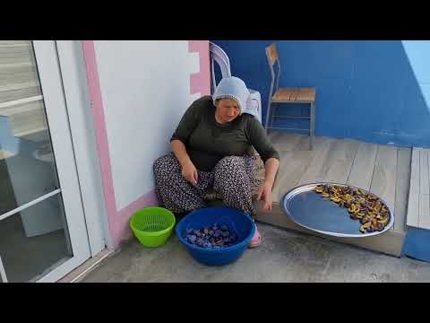 DONDURMA YEME MOLASI VE KIŞA ERİK HOŞAFI