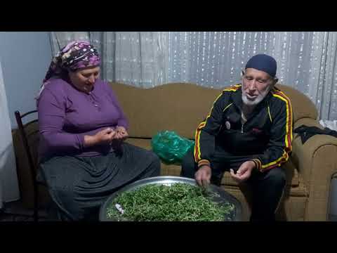 KÖYÜMDEN MADIMAK TOPLADIM BABAMLA ANNEMİ ÇEKİŞTİRDİK