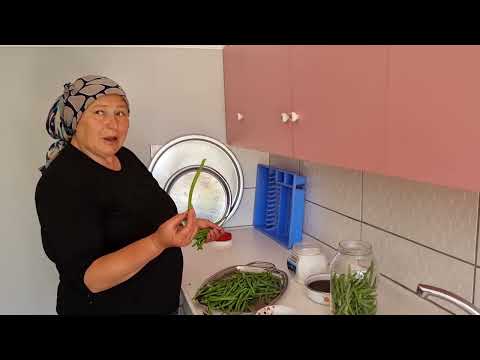 KIŞLIK BÖRÜLCE TURŞUSU NASIL YAPILIR