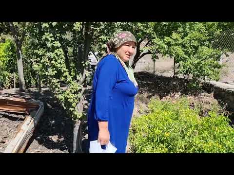 GEZİYORUZ ANKARA GÜDÜL SORGUN KÖYÜNDEYİZ
