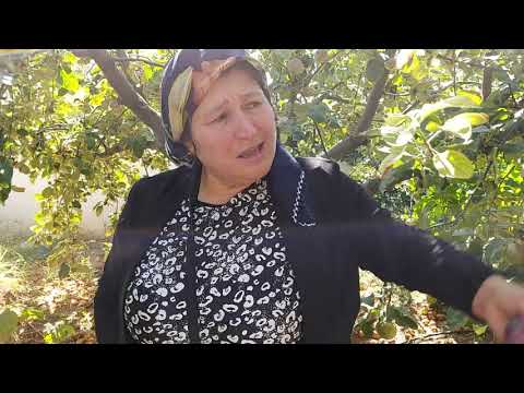 BAHÇE TOPLARKEN YILAN ŞAKASI KOMİK