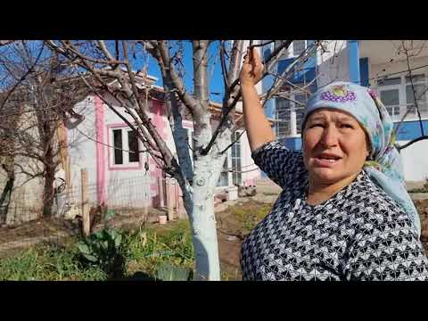 ANNEME BAHÇEMİZİ TURLUYORUZ LAHANALAR NASIL BÜYÜDÜ MAŞALLAH