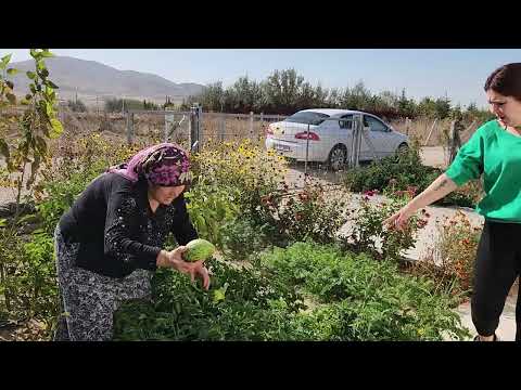ANNEM BAHÇESİNİ ÇOK ÖZLEMİŞ SON BAHAR HASTIMIZ
