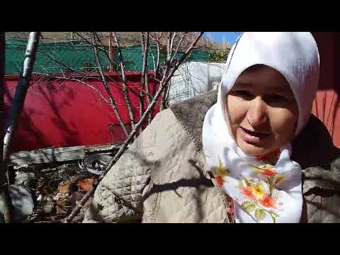 BACIMIN BAHÇESİ BENİM ESKİ EVİM KOMİK