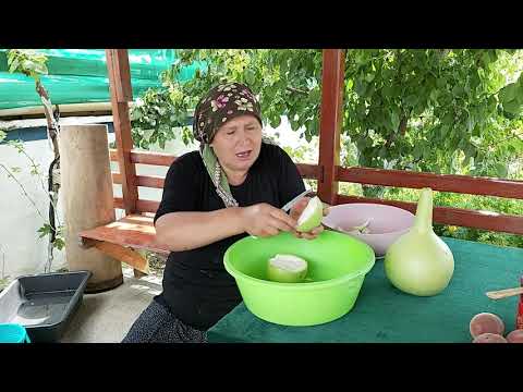 SU KABAĞI YEMEĞİ NASIL YAPILIR KABAKLARI AĞACIN DALINDAN