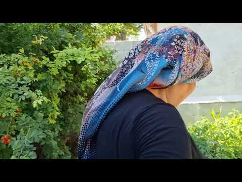 ANNE BAHÇEDE KURUYAN FASULYELERİ YOLUYOR TEMİZLİK ZAMANI mpL