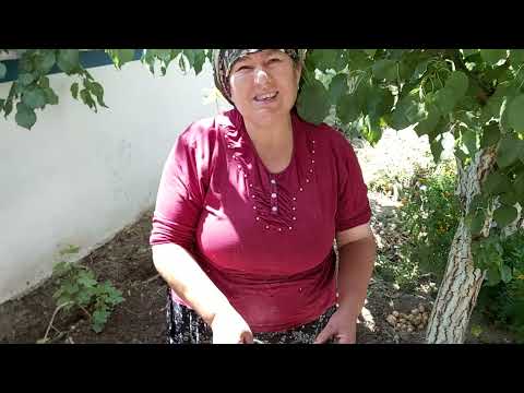 BUGÜN NELER YAPIYORUZ BABAM ATÖLYESİNİ TEMİZLİYOR ANNEM