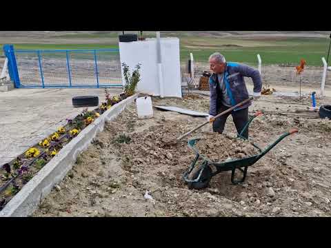 HATİCE HANIM HEP İŞ BULUYOR KOMŞUMUZUN İNŞAATINDA SON DURUM