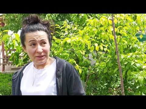 KÖYDE HAYAT BAHÇE BAKALIM NELER VAR VLOG