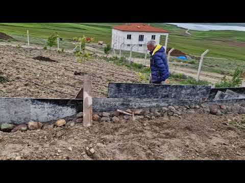 YENİ İNŞAATIMIZ DEVAM EDİYOR HAYVAN BARINAĞIMIZ TEMELDEYİZ
