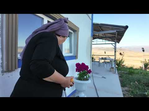 HATİCE HANIM YİNE DURAMAMIŞ BAHÇEYİ ÖZLEMİŞ YOLARIMIZA