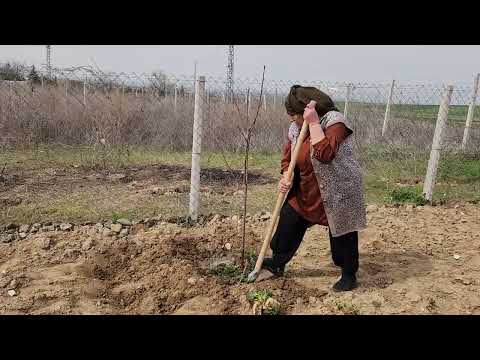 BAHÇE İŞLERİ BİTMİYOR AMA GÜZELLEŞTİRİYORUZ ÇALIŞMAYA DEVAM