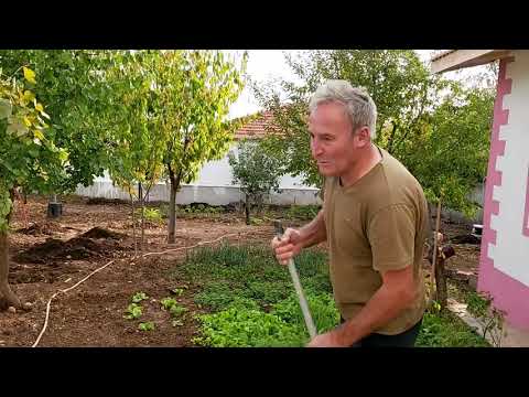 KUZİNE SOBADA BABAM BANA PATATES PİŞİRDİ BAHÇE TEMİZLİĞİ