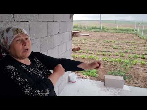 YENİ EVİMİZDE YAĞMUR SEYRİ MİTHİŞ YAĞMUR YAĞDI