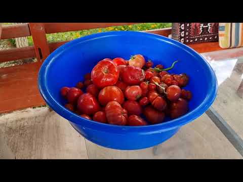 BAHÇEYİ BOZUYORUZ HATİCE HANIMIN KENDİ YAPMIŞ OLDUGU